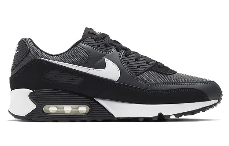 Air Max 90 Iron Grey CN8490-002