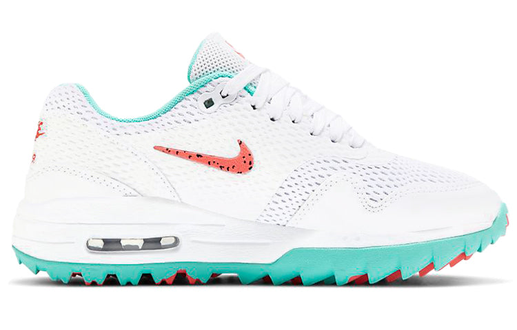 Nike Air Max 1 G CI7736-101