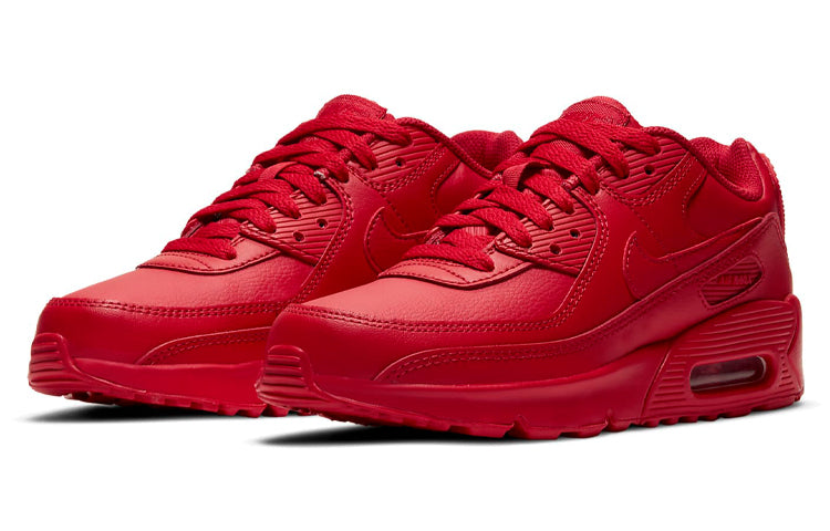 Nike Air Max 90 (GS) DC2002-600