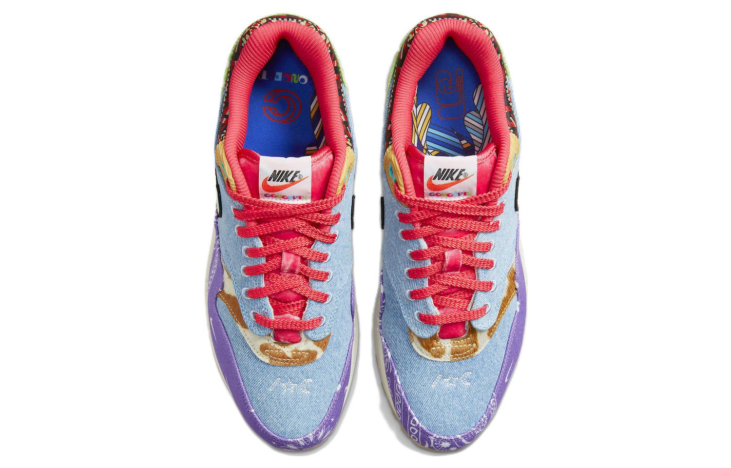Concepts x Nike Air Max 1 SP Far Out DN1803-500
