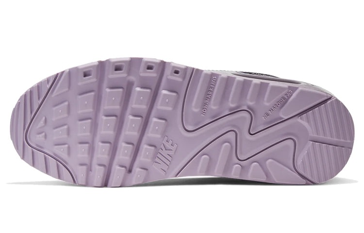 Nike Air Max 90 Leather GS Iced Lilac CD6864-002