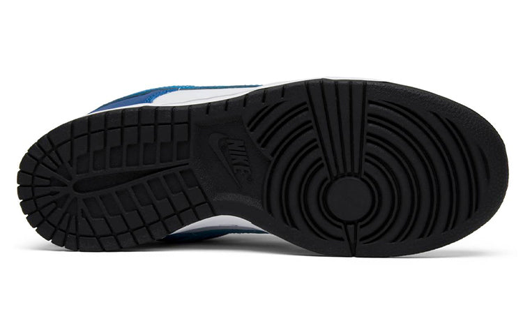 Nike Dunk Low Pro SB Skateboard 'Neptune' White/Neptune Blue 304292-144