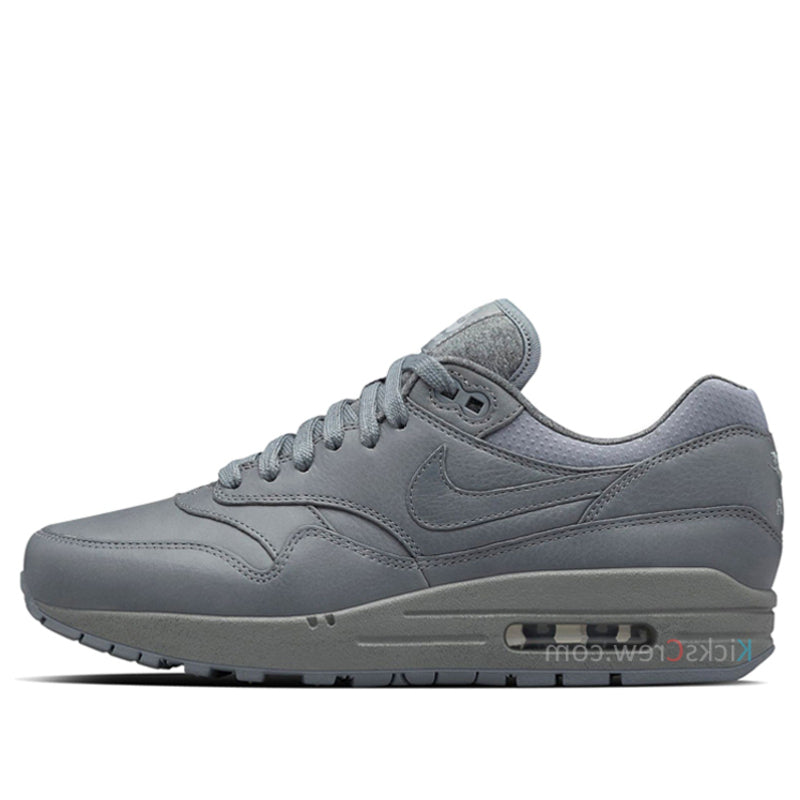 Nike Womens Air Max 1 Pinnacle Cool Grey 839608-002