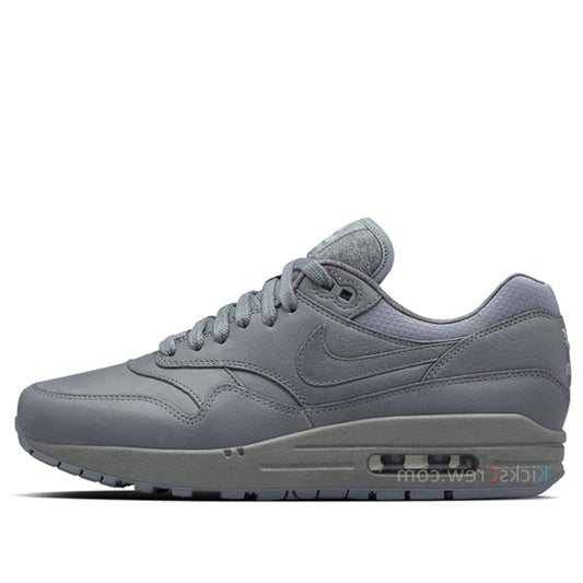 Nike Womens Air Max 1 Pinnacle Cool Grey 839608-002