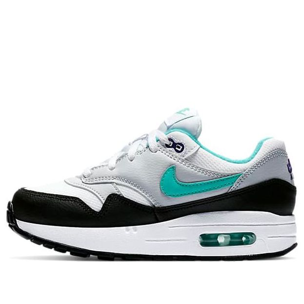 Nike Air Max 1 Dusty Cactus BP 807603-114