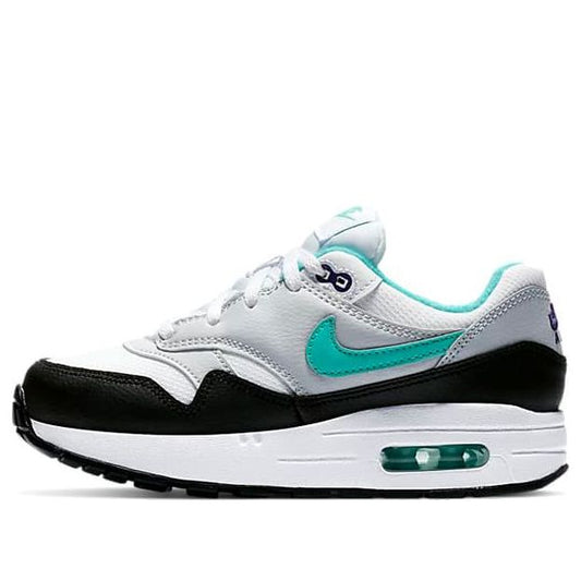 Nike Air Max 1 Dusty Cactus BP 807603-114
