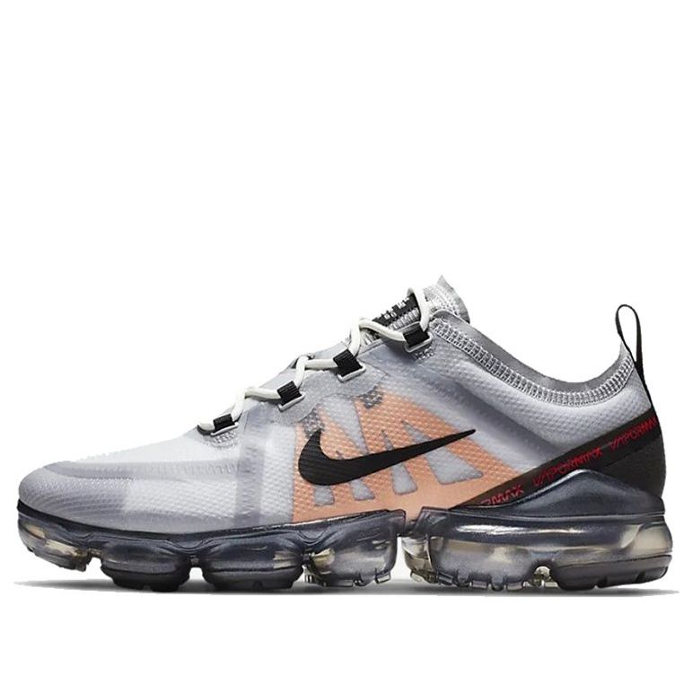 Nike Air VaporMax 2019 Wolf Grey AR6631-006