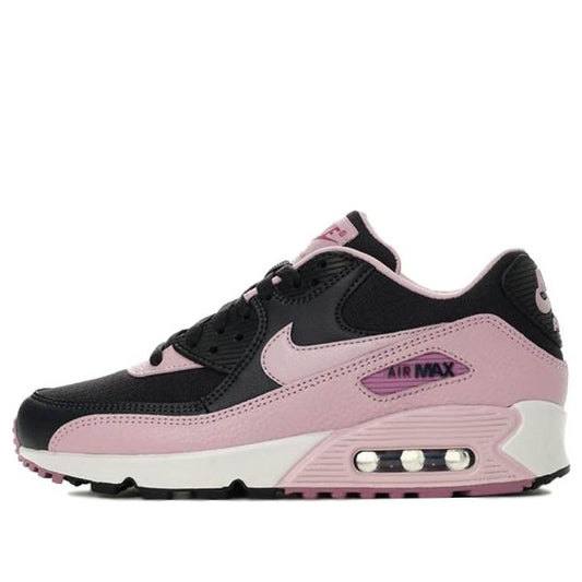 Nike Womens Air Max 90 'Plum Chalk' Oil Grey/Plum Chalk-Plum Chalk 325213-059