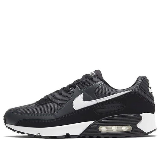 Air Max 90 Iron Grey CN8490-002