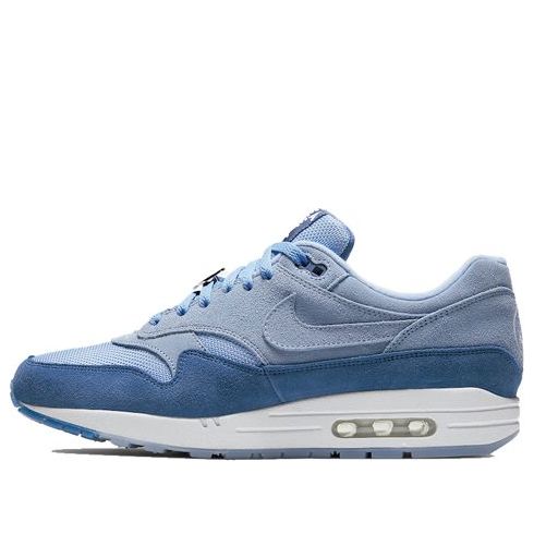 Nike Air Max 1 'Have A Day' Aluminum/Indigo Storm/White BQ8929-400