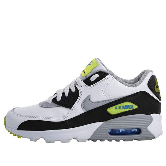 Air Max 90 LTR (GS) 833412-113