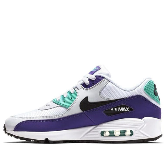 Nike Air Max 90 Essential Grape AJ1285-103