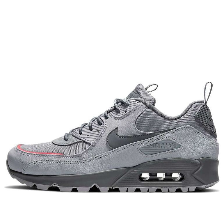 Nike Air Max 90 Surplus Wolf Grey DC9389-001
