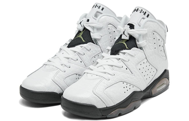 Air Jordan 6 Retro GS Alligator 384665-110