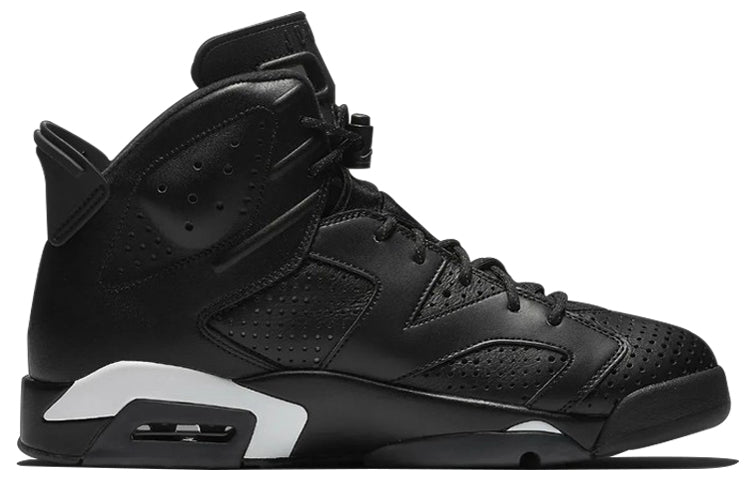 Air Jordan 6 Retro Black cat 384664-020