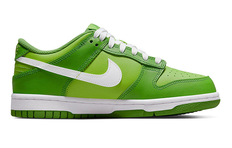 Nike Dunk Low DJ6188-301