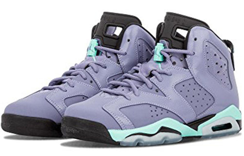 Air Jordan 6 Retro GG Iron Purple Turquoise 543390-508