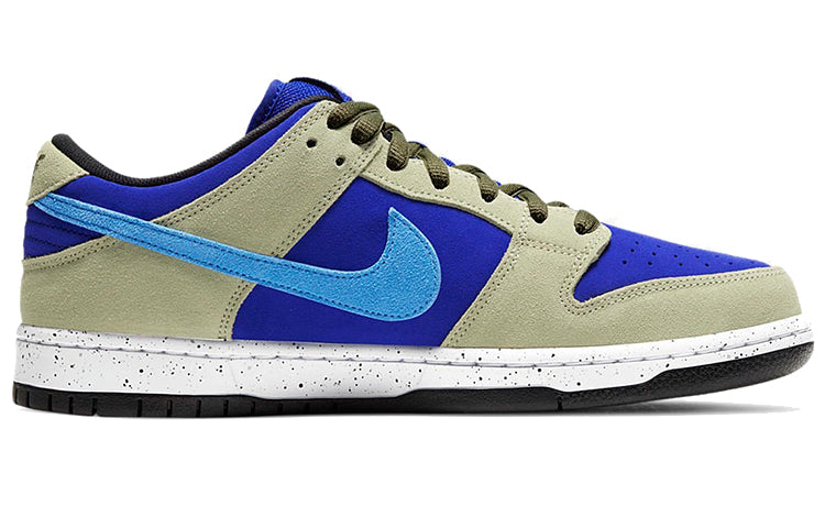 Nike Dunk Low SB Skateboard 'ACG Celadon' Celadon/Coast/Concord BQ6817-301