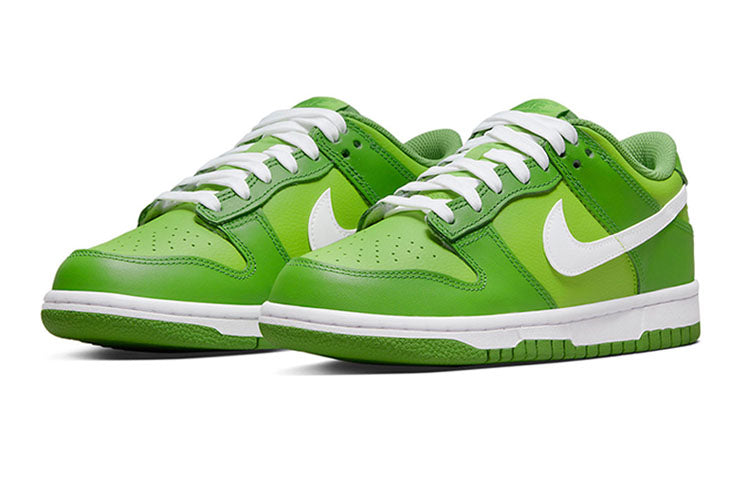 Nike Dunk Low DJ6188-301