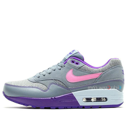 Nike Air Max 1 Magnet Grey Hyper Grape 319986-028