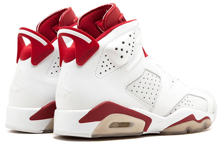 Air Jordan 6 Retro Alternate 384664-113