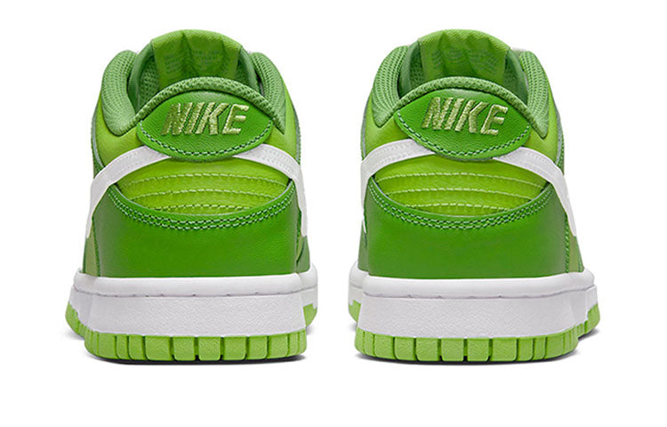 Nike Dunk Low DJ6188-301