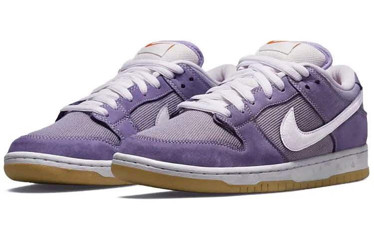 Nike SB Skateboard Dunk Low ached Pack DA9658-500
