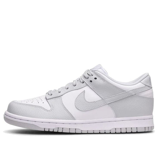 Nike SB Skateboard Dunk Low 311369-103