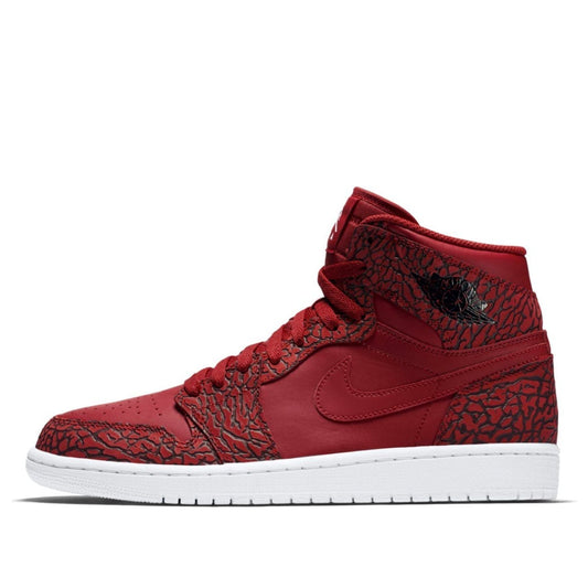 Air Jordan 1 Retro High Gym Red Cement 839115-600