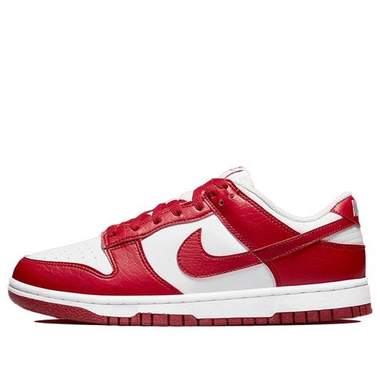 Nike Dunk Low Next Nature DN1431-101
