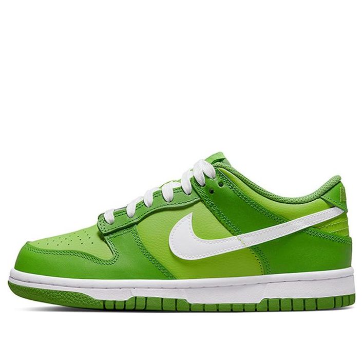 Nike Dunk Low DJ6188-301